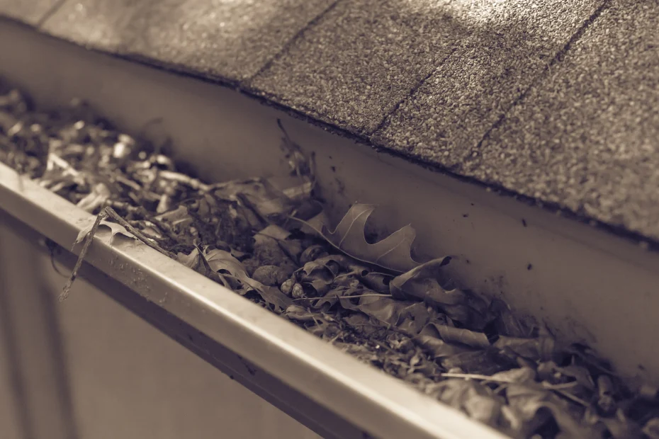 Gutter Cleaning Sewickley