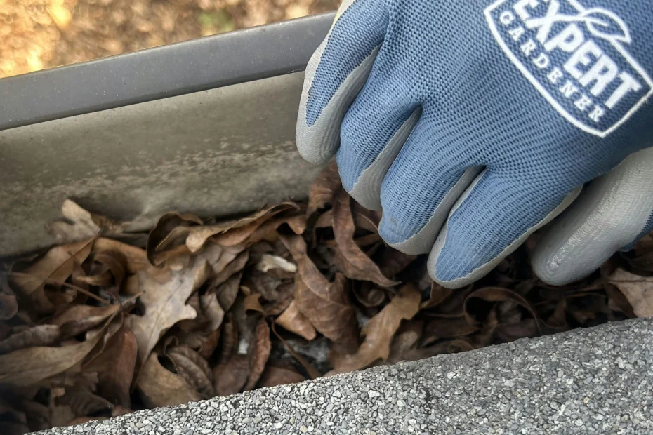 Gutter Cleaning Sewickley